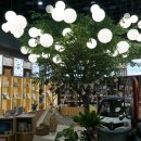 안면상회 이미지