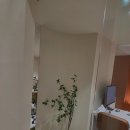 숨스칼프 이미지