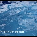 P&J | 부산 해운대 어린이수영장 J&amp;P어린이수영장 센텀마린점 안전과 체계적 수업이 인기 비결