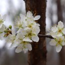 진미동행정복지센터 이미지