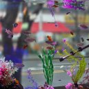 무인47 | [대전] 대전아이랑가볼만한곳 대전이색카페 유성아쿠아리움 무인카페 솔직후기