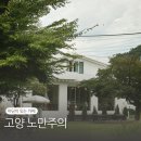 고양 노만주의 애견 동반도 가능한 잔디밭과 놀이터가 있는 카페 추천