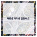 영통단단마디의원 이미지