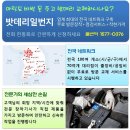 전국밧데리 이미지