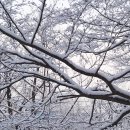 남산 산책로 이미지