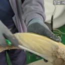 천연밀랍 제조과정 및 밀랍 관리 방법 입니다 이미지