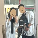천안 반려견동반 이미지사진 신불당동 스폿라이트 촬영 후기