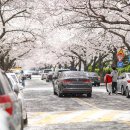 달맞이길 이미지