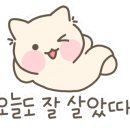해미정육점