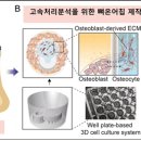 모사개발 이미지