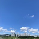 달콩과일쥬스 이미지