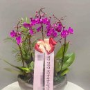 경서대로 이미지