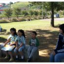 벌교원동 이미지