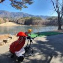 코오롱호텔 가든골프장 이미지