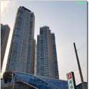 수상한돼지 티스토리