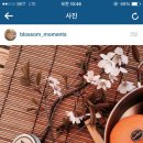 룰루캔들