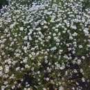 64공인중개사사무소 이미지