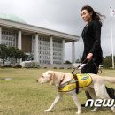 류의원 이미지