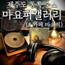 갤러리101식당 | 제주도 혼자 여행 숙소 동쪽 하도리 게하 마요피갤러리 카페마요피