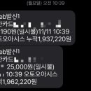 오토오아시스 능동점 이미지