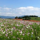 고창농장 이미지