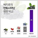 새대덕약국 네이버블로그
