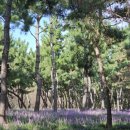 함현공원 이미지