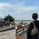 바다양푼이 송정점 | 24년 첫 강릉 여행, 1일차 엄지네 꼬막/중앙시장 배니 닭강정/시나미 염통