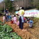 개정동사무소 이미지