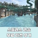 예산 숙소 스플라스 리솜 리조트 객실 추천 워터파크 후기