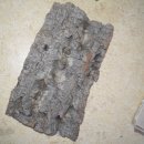 장풍이닷컴 이미지