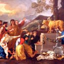 금송아지 이미지