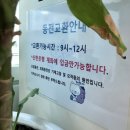 르노삼성자동차㈜일산지점 | 신한은행 동전교환 일산 동전입금 꿀팁 [교환가능 시간/방법]