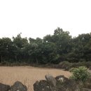 법환초등학교 | 세 살 아기와 제주도 보름 살기(3)