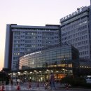 서울대학교 이미지