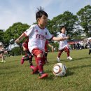 태양의 축제 이미지