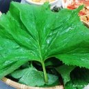 금다래산장 이미지