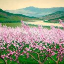 아르티펙스(Artifex)