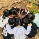 꽃들에나라어린이집 네이버블로그