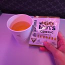 11650-16-4-14 | [터키/튀르키예]14박 16일 자유여행 인천출국 에어아스타나 항공 탑승 후기-터키여행 4/10