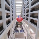 로얄카써비스 이미지