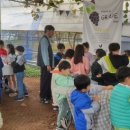 교암초등학교 이미지