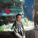 이준열대어 이미지