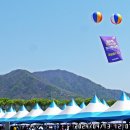 종합운동장 메타세콰이어길 이미지