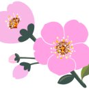 성남보건지소 이미지