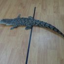 성민유치원 이미지