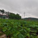 통안경로당 이미지