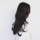 인더비헤어 이미지