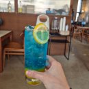 강릉김밥 | 강릉 감자유원지 메밀김밥 후기, 평일 웨이팅