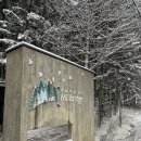 (주)방아다리 | 강원도 평창 전나무숲 숙소 밀브릿지 2동 2인실 온돌방 후기 :: 겨울 감성 숙소로 추천